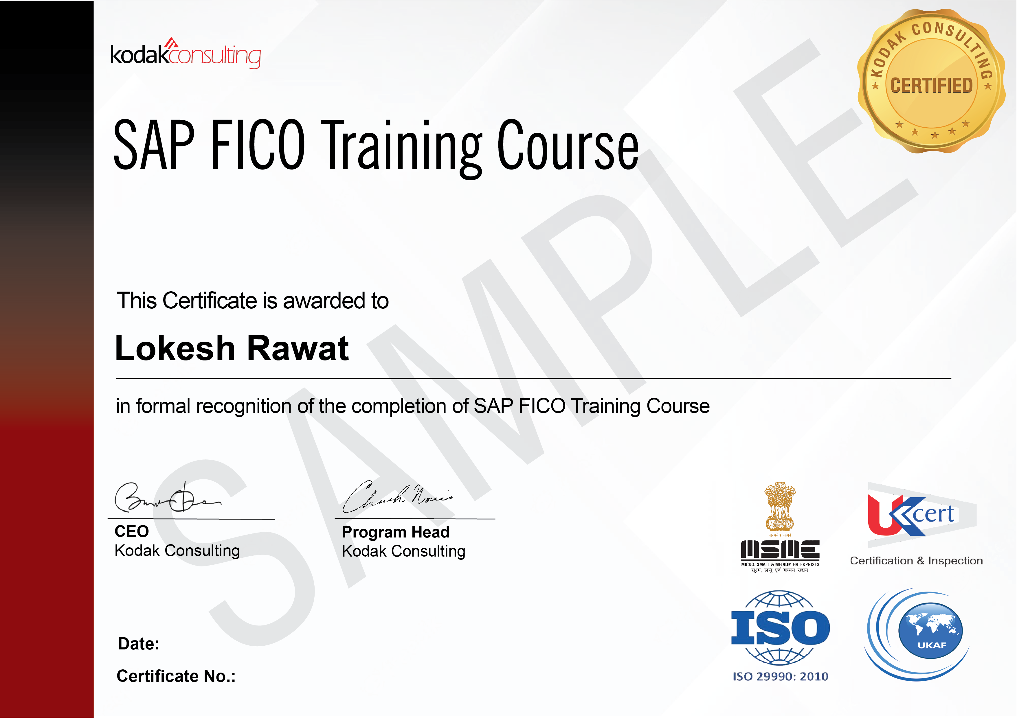 SAP FICO Training Course Master Financial Accounting and Controlling